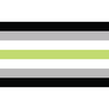 Pride Flagge Agender – 90 × 150 cm – ProudYou