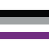 Pride Flagge Asexuell (Asexual) – 90 × 150 cm – ProudYou