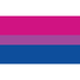Pride Flagge Bisexuell (Bisexual) – 90 × 150 cm – ProudYou