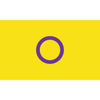 Pride Flagge Inter* (Intersex) – 90 × 150 cm – ProudYou