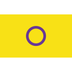 Pride Flagge Inter* (Intersex) – 90 × 150 cm – ProudYou