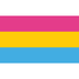 Pride Flagge Pansexuell (Pansexual) – 90 × 150 cm – ProudYou